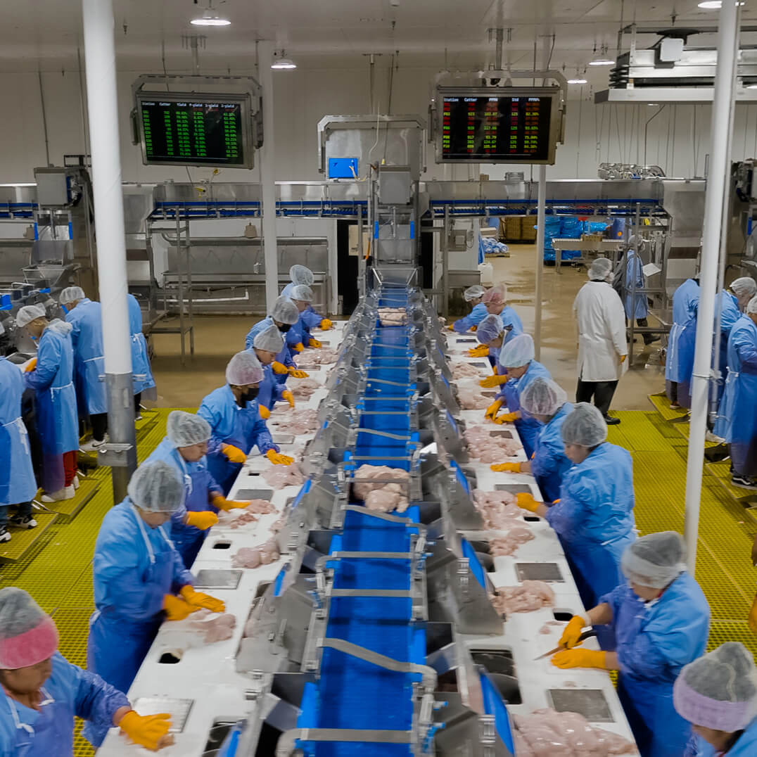 BREAST AND TENDER HAND PORTIONING